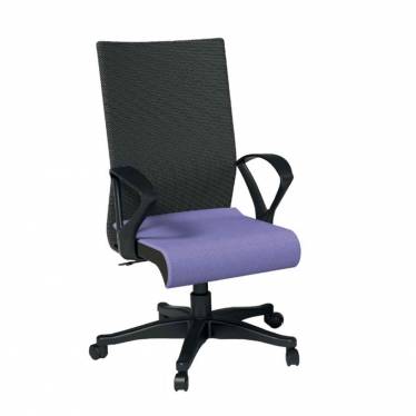 Executive Chair Manufacturers in Inderlok