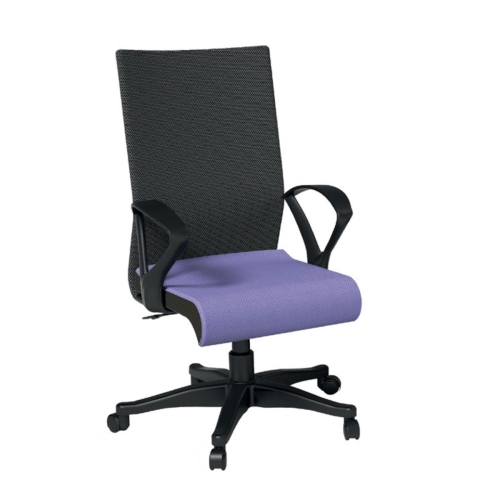Executive Chair Manufacturers in Wazirpur