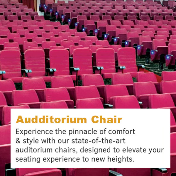  Auditorium Chair in Rohini Extension