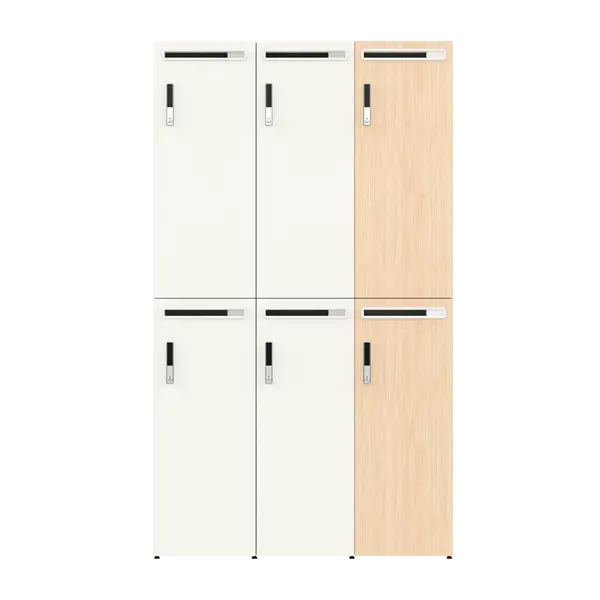 Personal Locker Unit  Wooden Manufacturers, Suppliers, Exporters in Delhi 